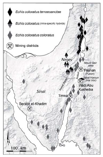Geographic distribution of Echis coloratus in Canaan and Sinai.